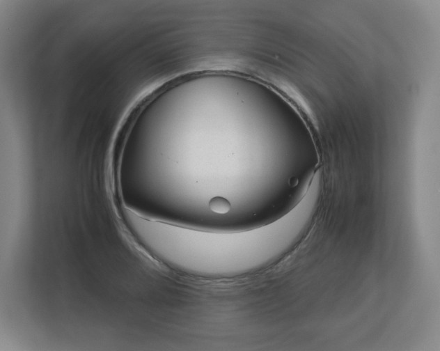 X0000113041080200909031307