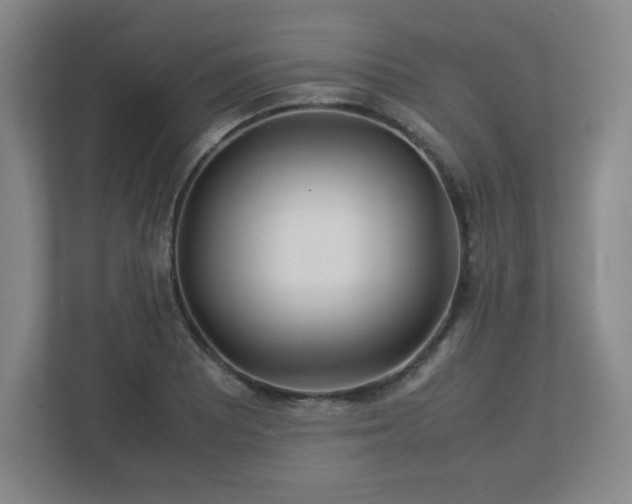 X0000113041081200909031307