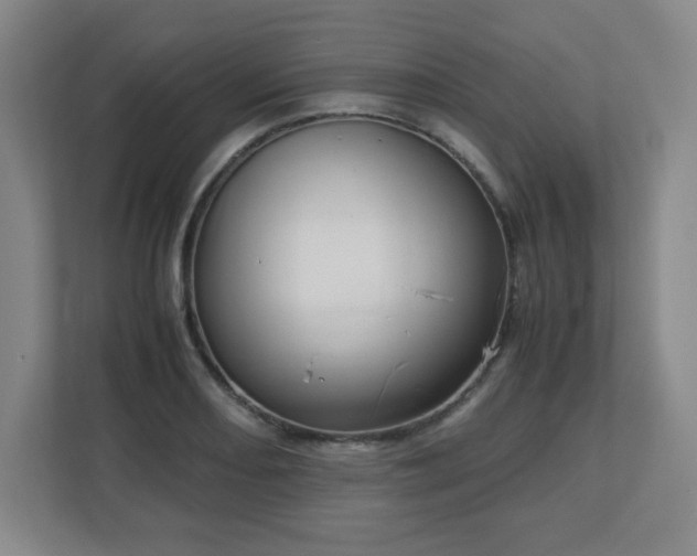 X0000113041082200909031307