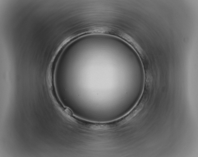 X0000113041083200909031307