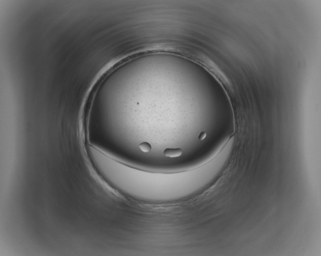 X0000113041084200909031307