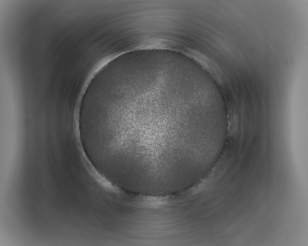 X0000113041086200909031307