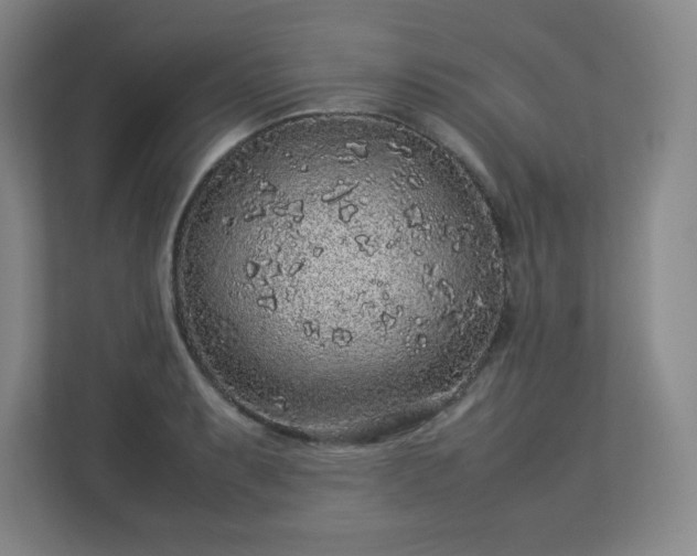 X0000113041087200909031307