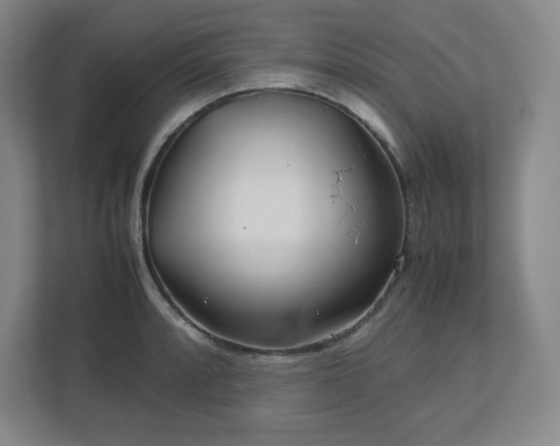 X0000113041088200909031307