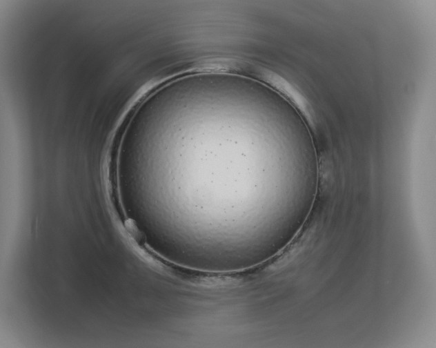 X0000113041091200909031307