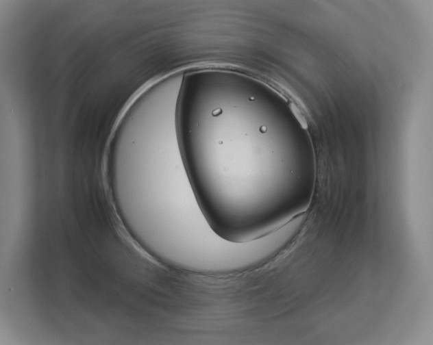 X0000113041092200909031307