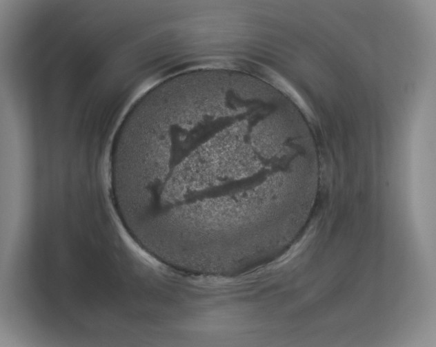 X0000113041095200909031307