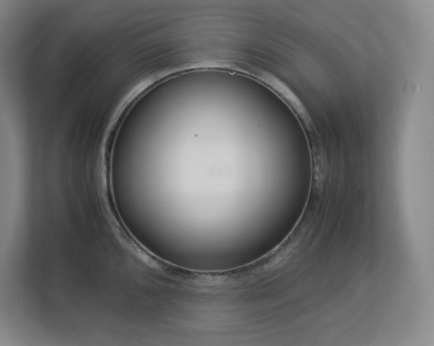 X0000113041096200909031307