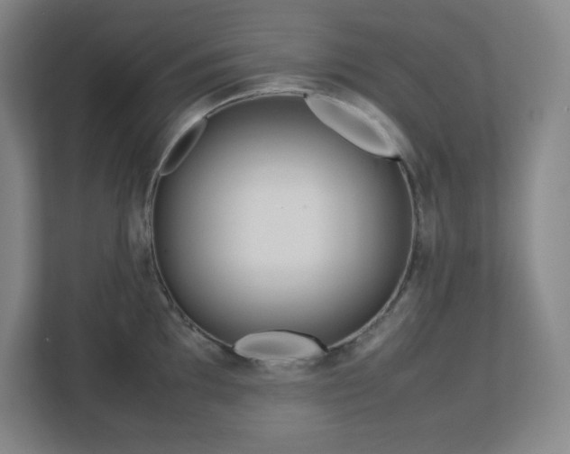 X0000113041097200909031307