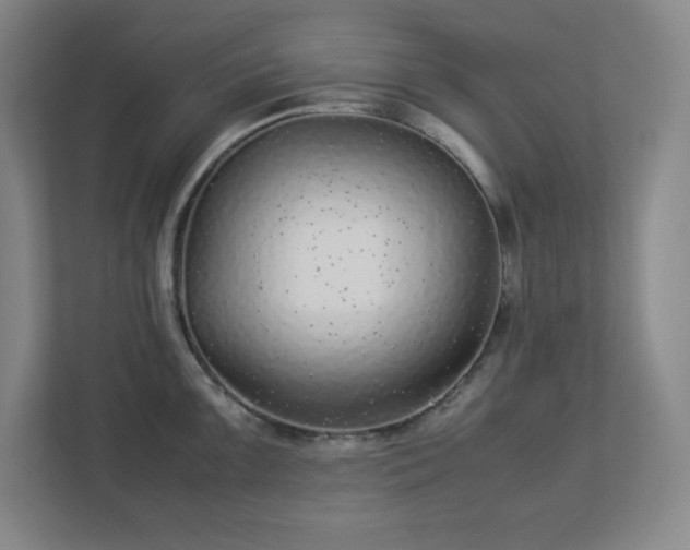 X0000113041099200909031307