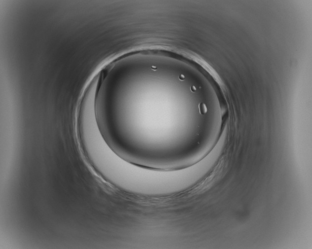 X0000113041101200909031307