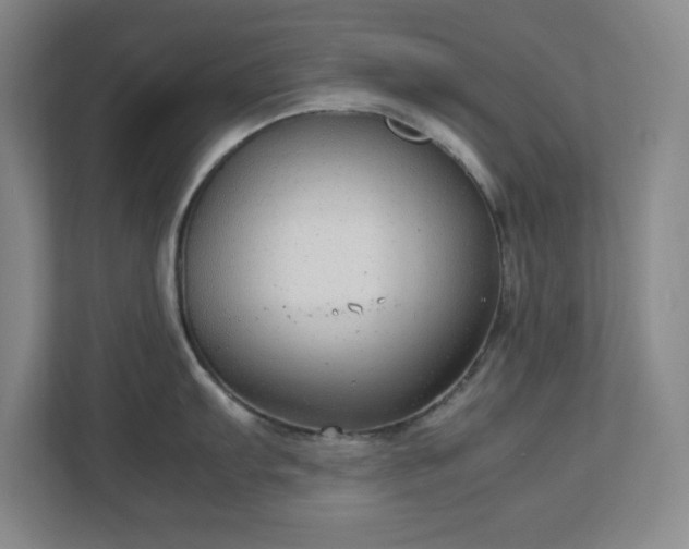 X0000113041103200909031307