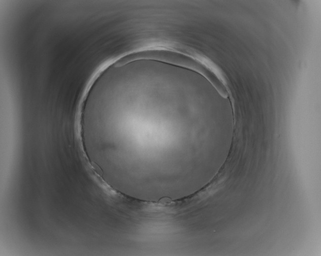 X0000113041104200909031307