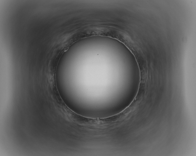 X0000113041109200909031306