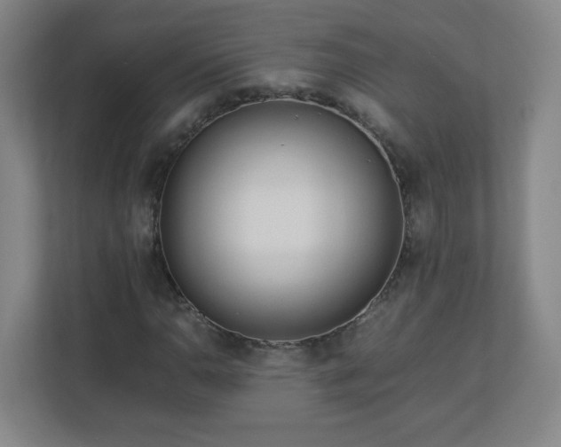 X0000113041110200909031306