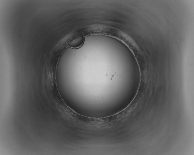 X0000113041111200909031306