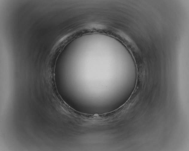 X0000113041112200909031306