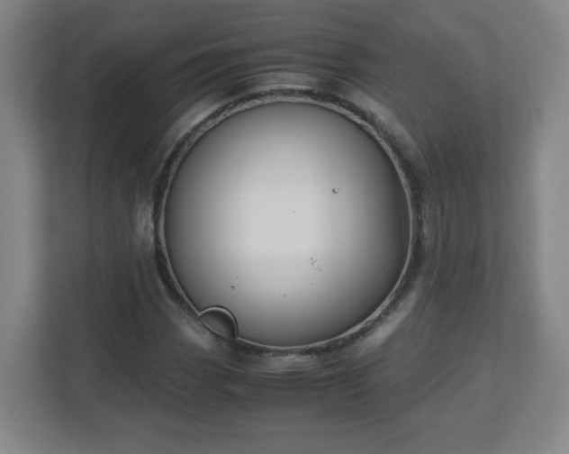 X0000113041113200909031306