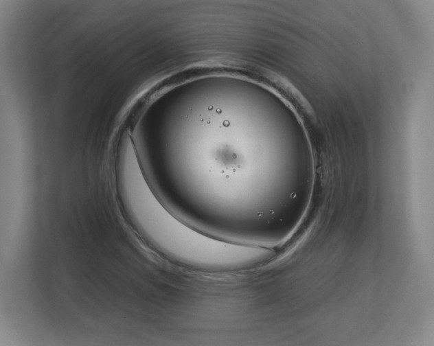 X0000113041114200909031306