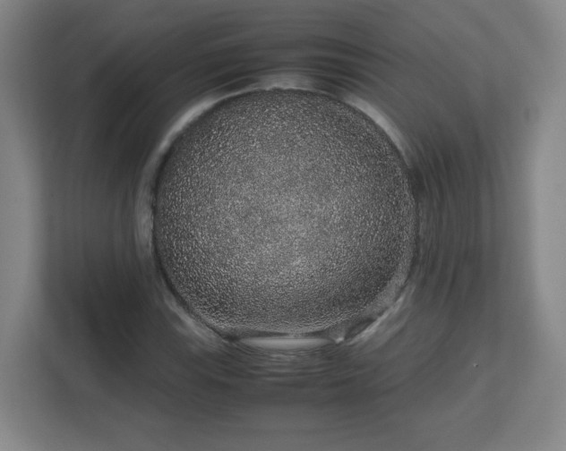 X0000113041115200909031306