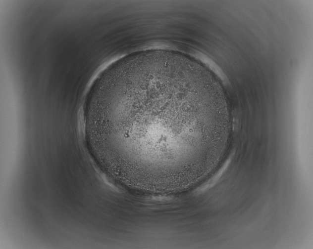 X0000113041117200909031306