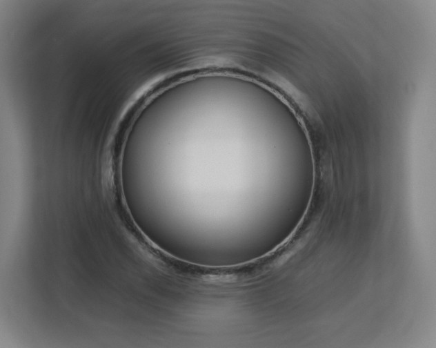 X0000113041118200909031306