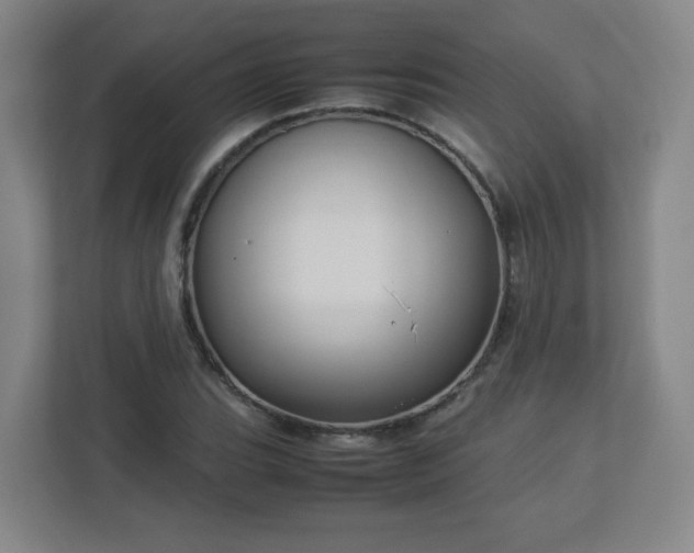 X0000113041119200909031306