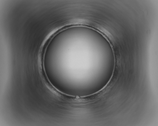 X0000113041120200909031306