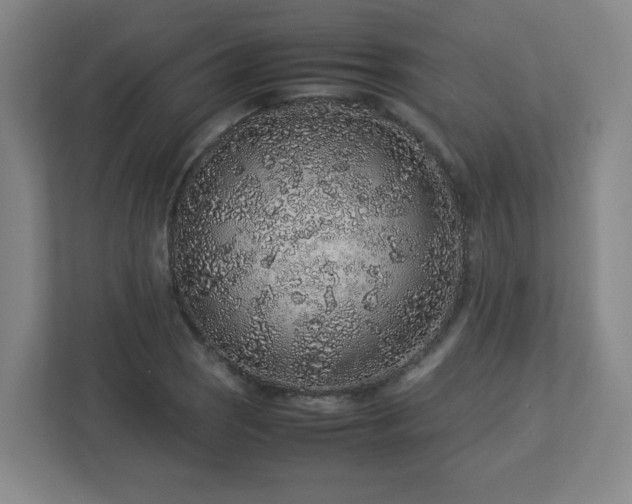 X0000113041121200909031306