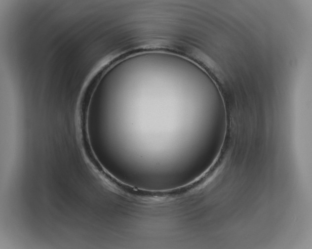 X0000113041122200909031306