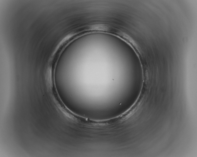 X0000113041123200909031306