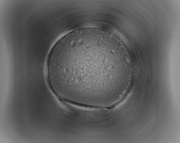 X0000113041125200909031306