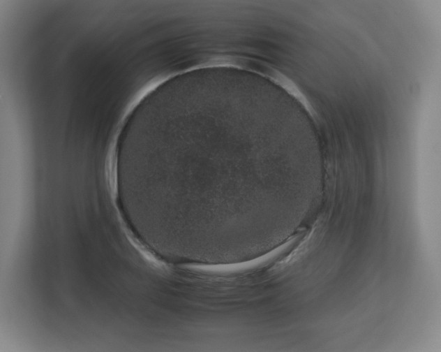 X0000113041127200909031306