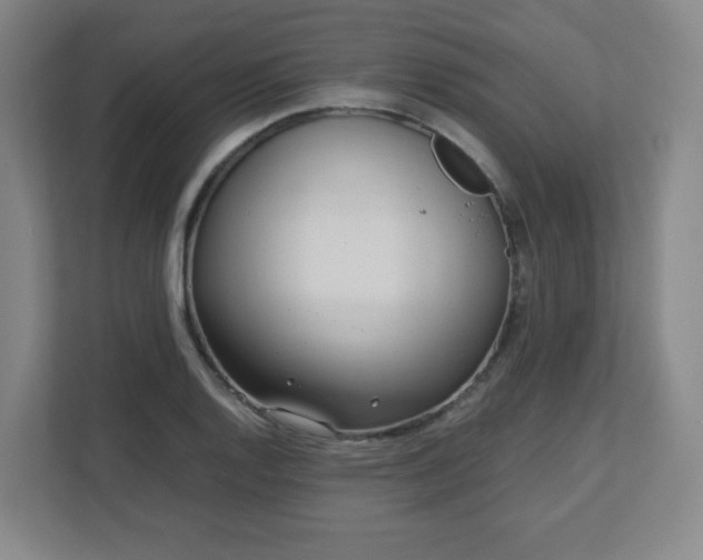 X0000113041128200909031306