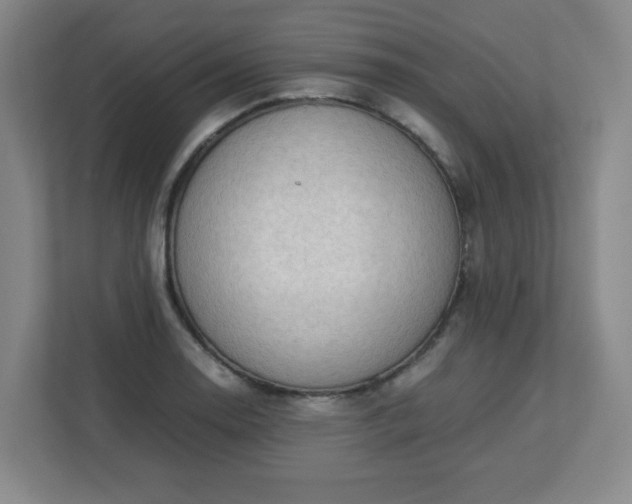 X0000113041130200909031306