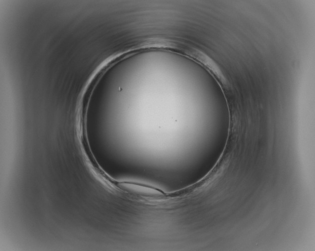 X0000113041132200909031306