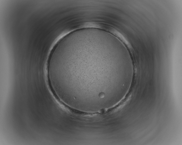 X0000113041133200909031306