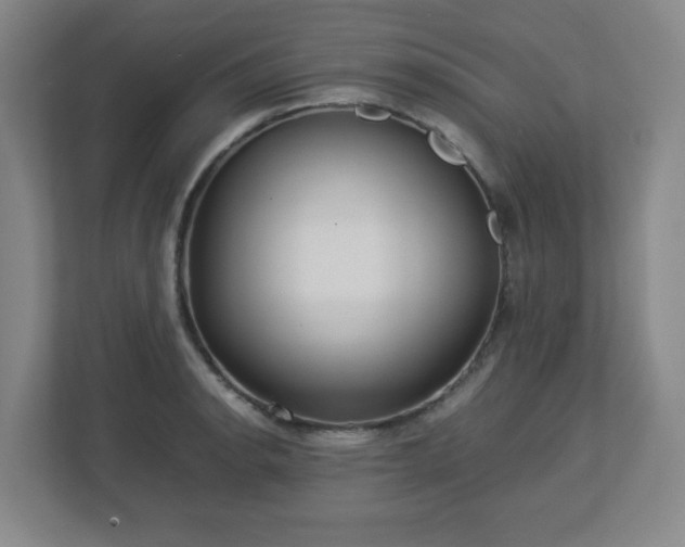 X0000113041134200909031306