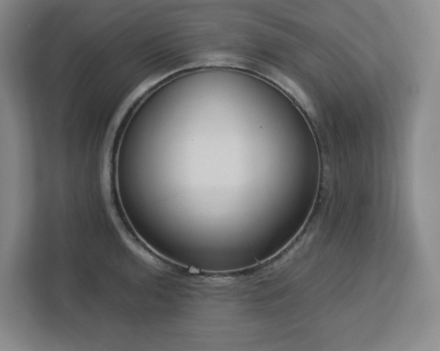 X0000113041136200909031306