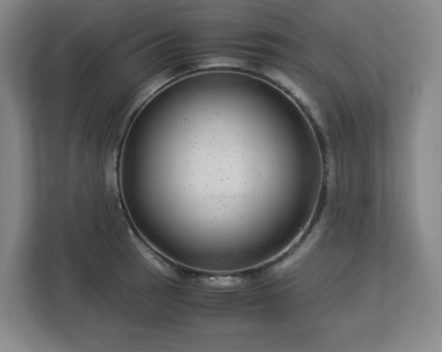 X0000113041137200909031306