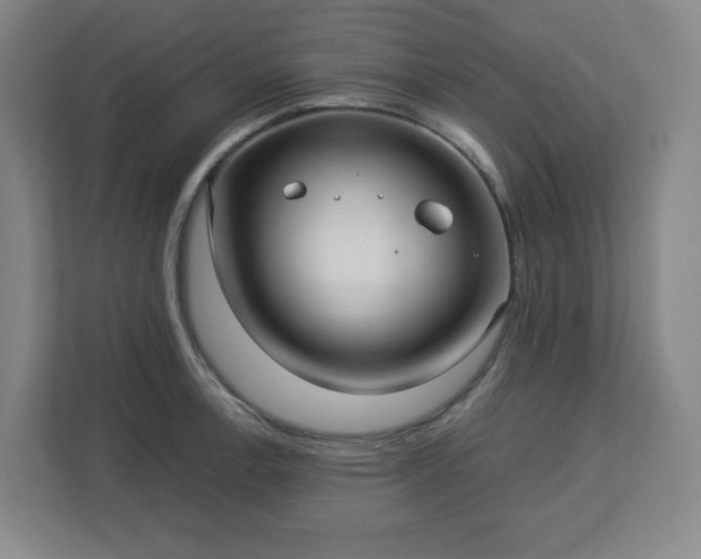 X0000113041138200909031306