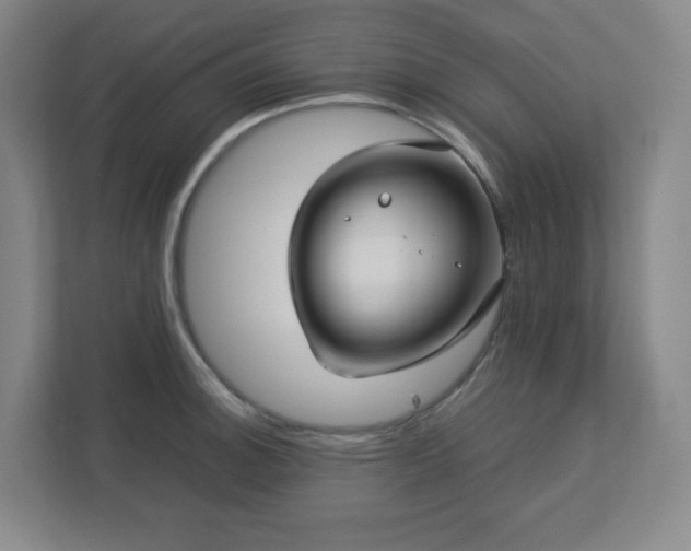 X0000113041140200909031306