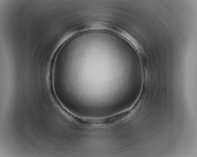 X0000113041142200909031306