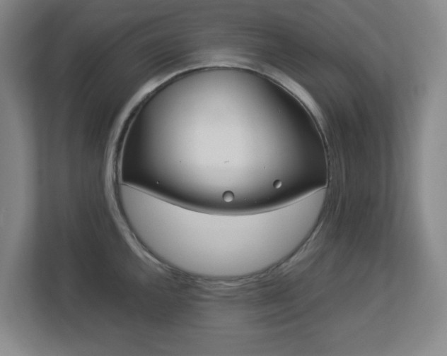 X0000113041144200909031307