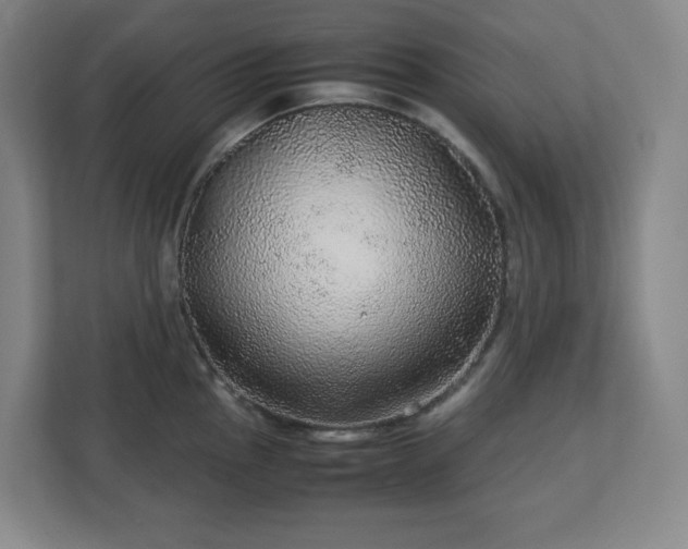 X0000113041145200909031307