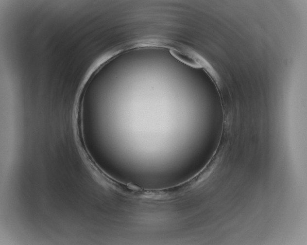 X0000113041146200909031307