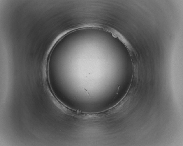 X0000113041148200909031307