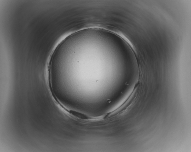 X0000113041151200909031307