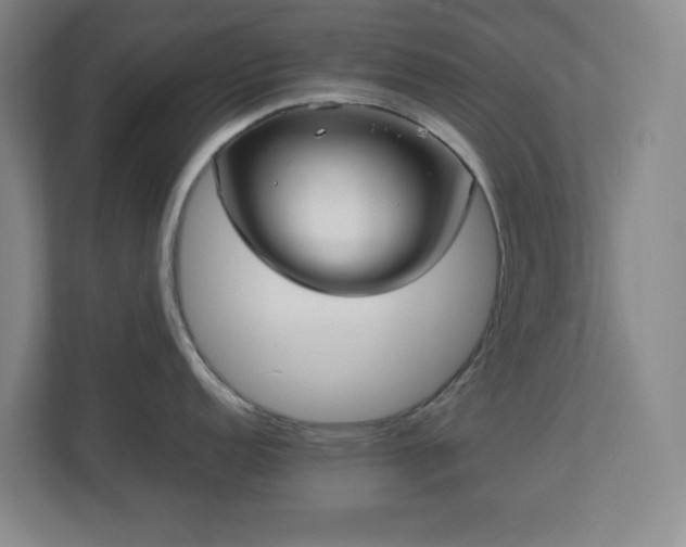 X0000113041152200909031307