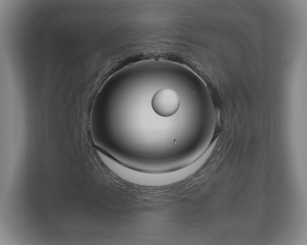 X0000113041153200909031306